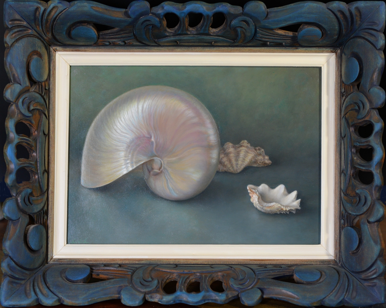 Schilderij van verschillende schelpen waaronder de Nautilus.