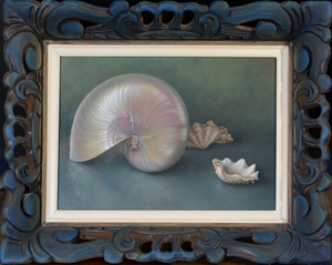 Schilderij van verschillende schelpen waaronder de Nautilus.